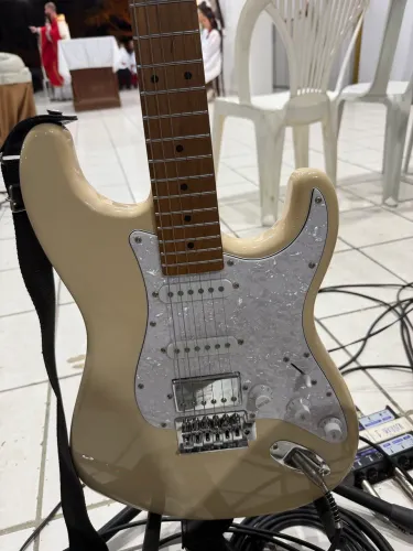 Guitarra seizi Budokan Fun
