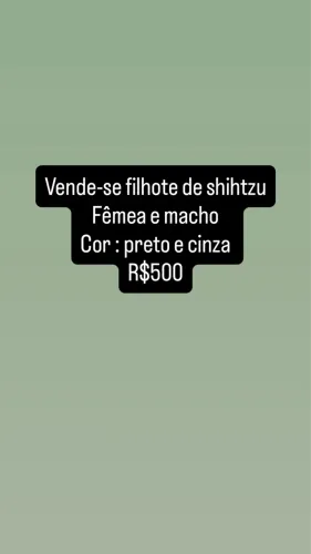 Vende-se cachorro