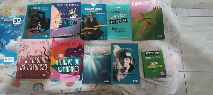 Lote de Livros Infanto-Juvenis e Escolares (Monteiro Lobato, FTD e mais)
