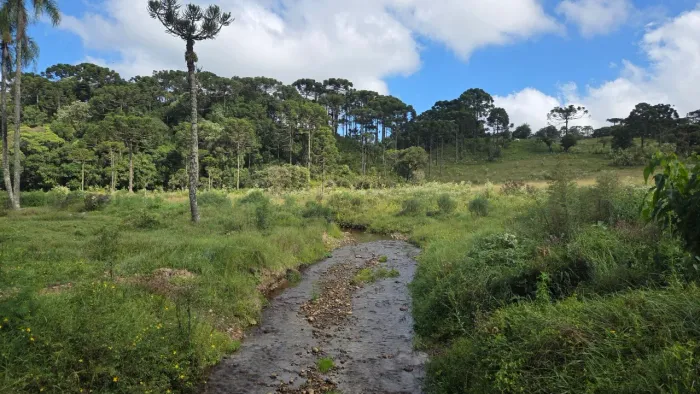 TERRENO RURAL em CAMPO ALEGRE - SC, Laranjeiras