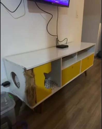 rack de gatinho