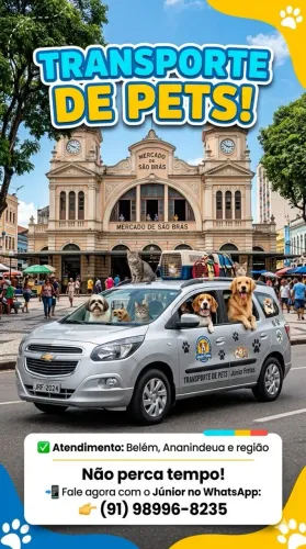 Transportes de Pets