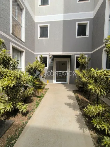 apartamento - Jardim Capivari - Campinas