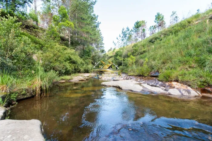 Área São Luiz do Purunã - Witmarsum 31 alqueires