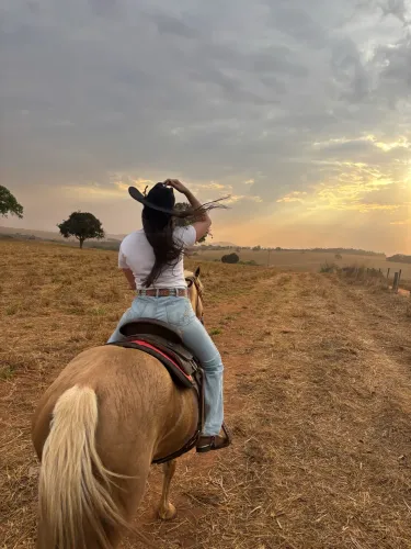 Égua quarto de milha!! Nova e chique