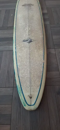 Long board 9.0 New Advance EPS