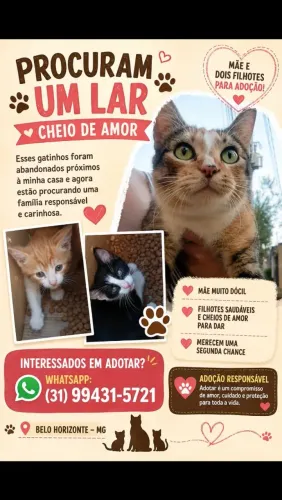 Adoção Responsável de Gatinhos - Mãe e 2 Filhotes