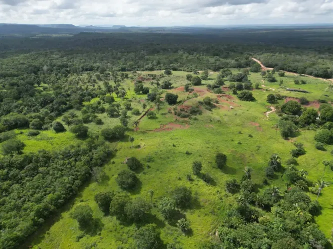 Aconchegante Fazendinha, 96 Alqueires, Município de Carolina - MA