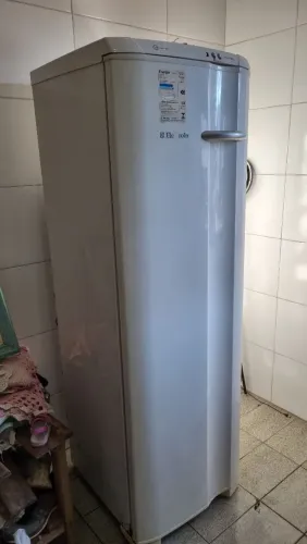 Freezer vertical