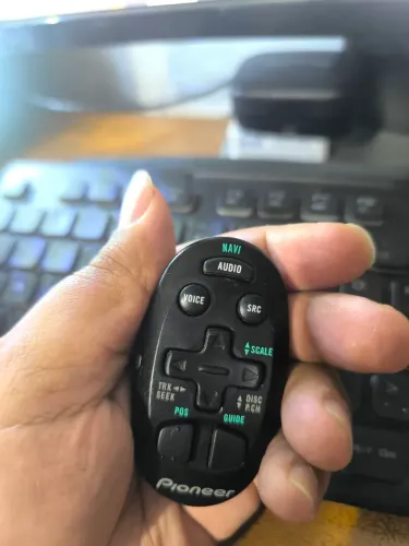 Controle Pioneer Ovinho