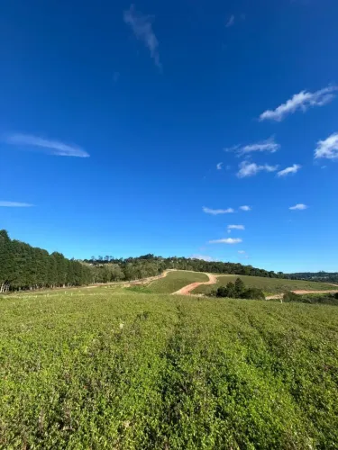 500m² PARA SEUS PROJETOS POR R$ 65 MIL!