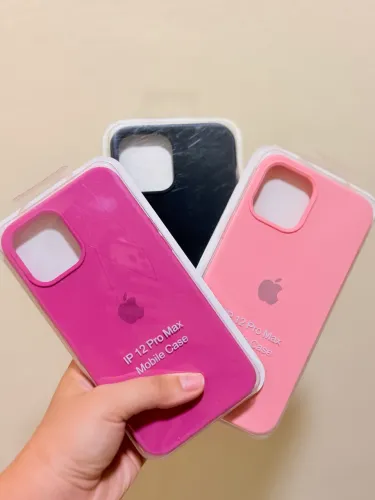 Case IPhone 12 Pro Max