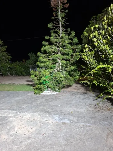 Aluguel temporada sitio maravilhoso 