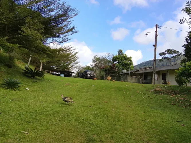 Imóvel para venda possui 42 metros quadrados com 1 quarto em Centro - São José da Vitória