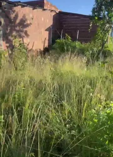 terreno em Vitória de Santo Antão