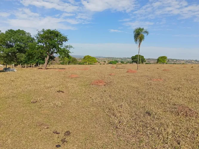 Terra a venda 10 km de São Luís de montes belos Go Diamantina de baixo