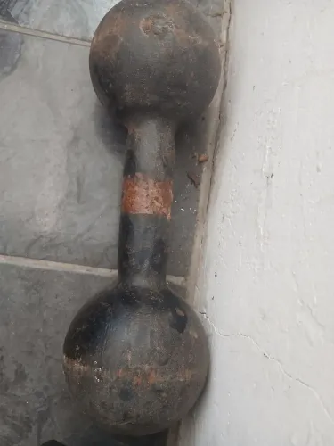 Peso de academia 10 kg