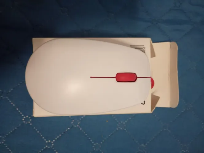 Mouse raspberry pi USB 