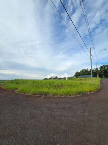 Terreno à venda, 800 m² por R$ 600.000,00 - Jardim Cidade Alta - Cambé/PR
