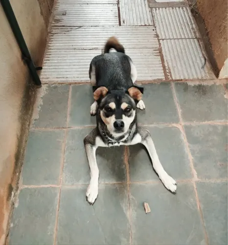 Doação 