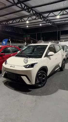 BYD Dolphin Mini (Elétrico) 2027
