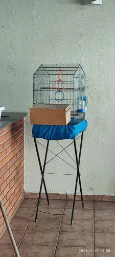 Gaiola para pássaros