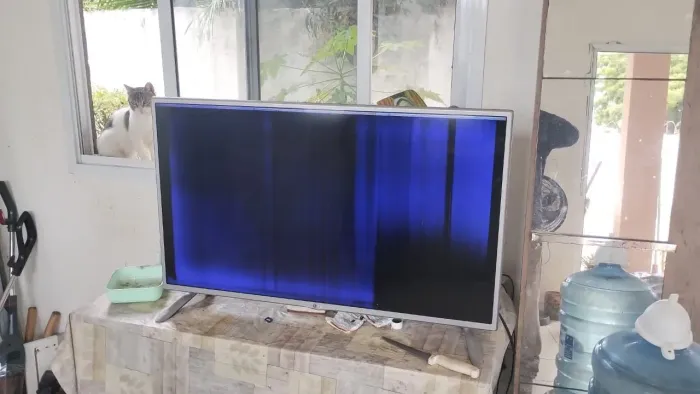 Tv LG 39 defeito