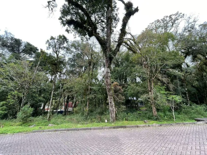 TERRENO NO CONDOMÍNIO PINHEIRO GROSSO EM CANELA!
