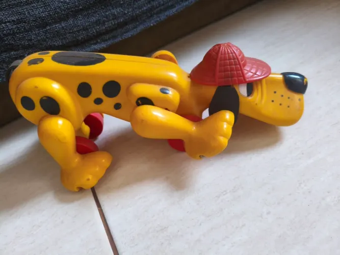 Cachorro Xereta Estrela