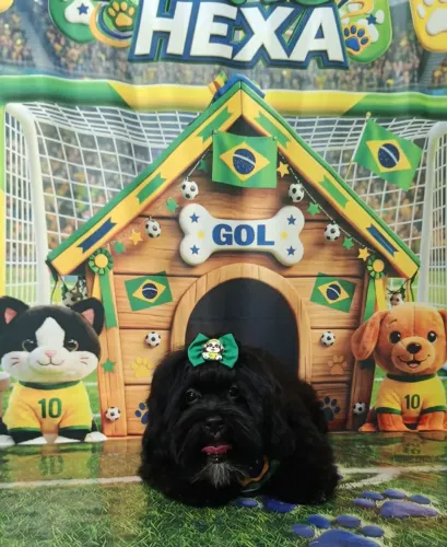 Dog