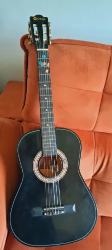 Vendo violão