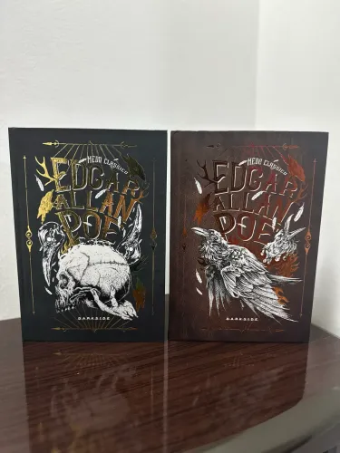 Livros Edgar Allan Poe 2 volumes darkside books