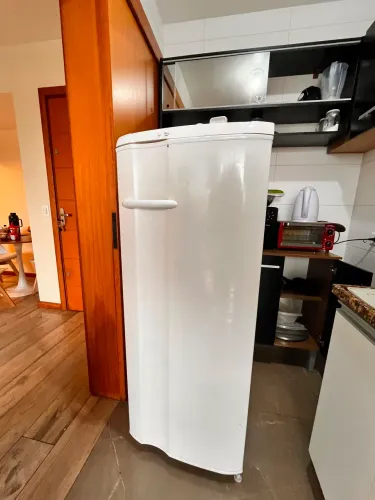 Geladeira Electrolux RE28 240L 220V - funcionando perfeitamente