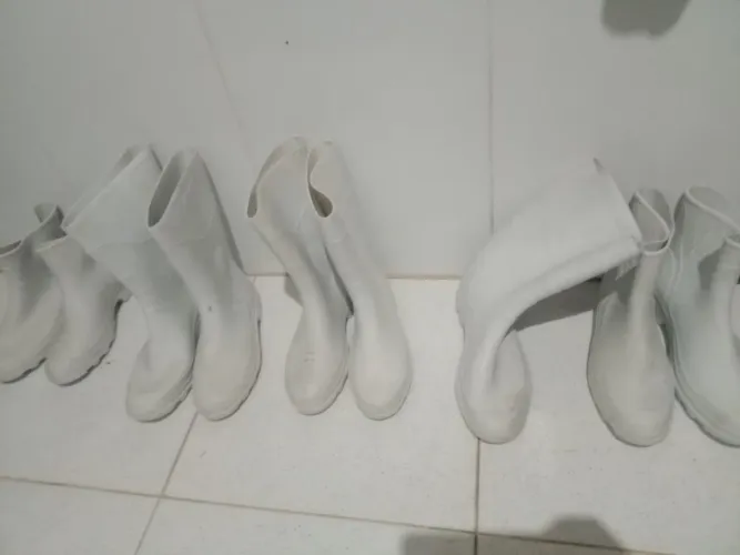 Botas