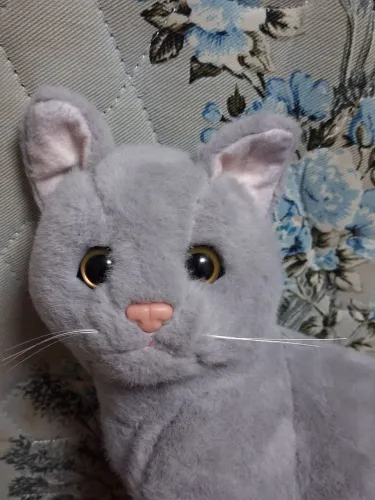 Pelucia