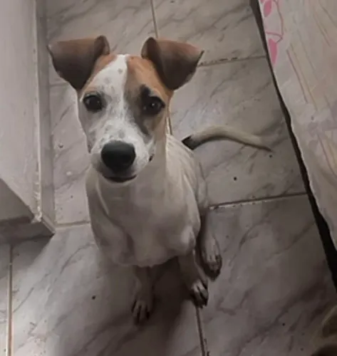 Doação