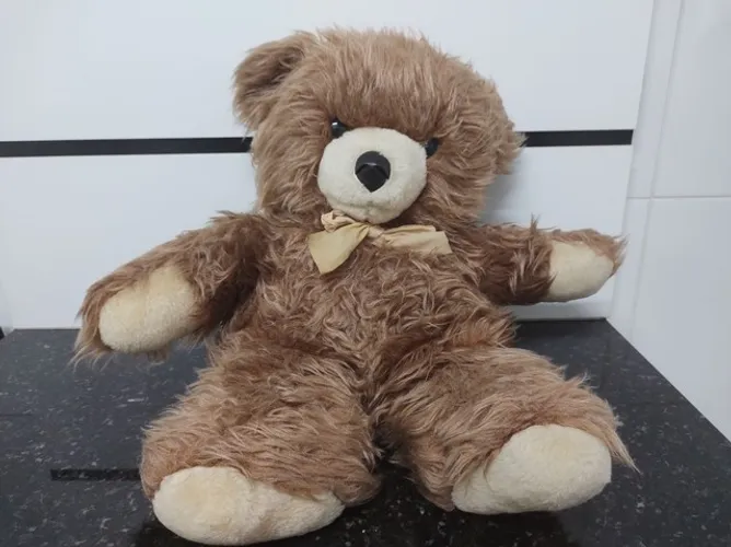 Urso de Pelúcia por 75 