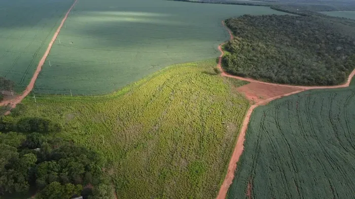 Fazenda 730 hec a 150 km de nova motum 42 milhões.