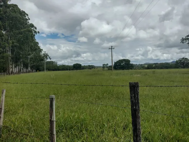 Propriedade proporciona mecanização total ...