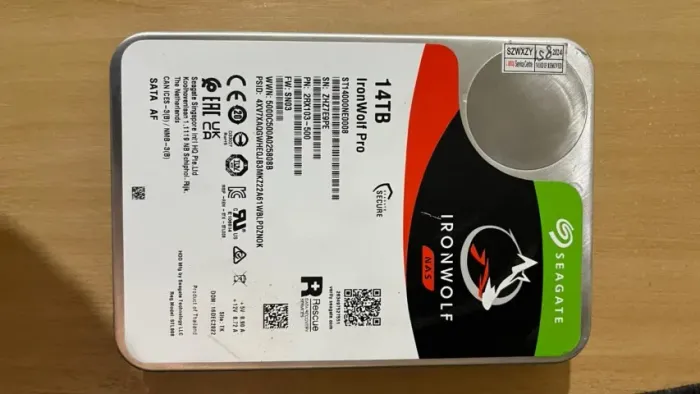 HD seaget ironwolf 14T