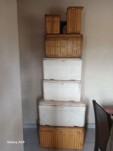 Vendo caixas de isopor de vários tamanhos ......todas por 120,00 ....kit com 5 cx 