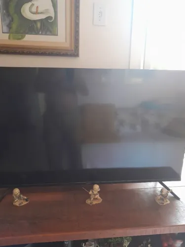 Tv Sansung 50 polegas LED.Tela queimada.O Resto perfeito.