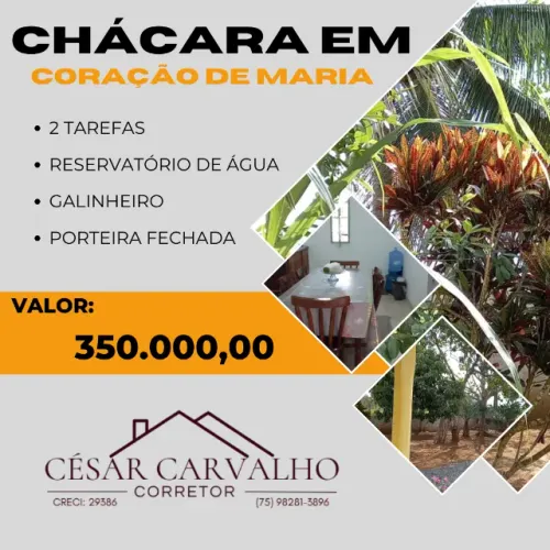 CHÁCARA EM CORAÇÃO DE MARIA - 2 TAREFAS