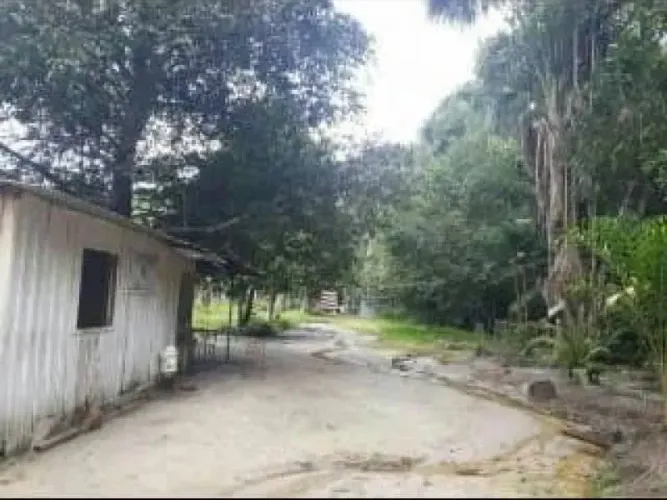 Sítio Rural à venda, Parque 10 de Novembro, Manaus - .