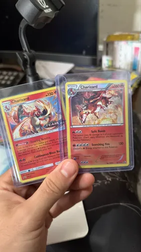 Dois Charizards