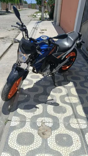 Twister CB250F flexzone 2020
