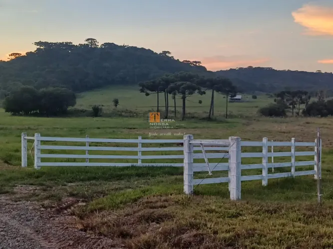 Chácaras 20.000m², Criúva em Caxias do Sul - RS