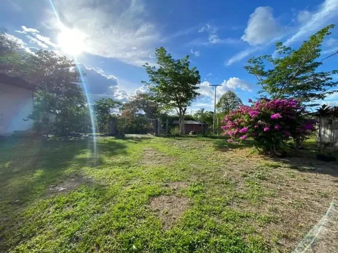 Fazenda/Sítio/Chácara na AM010 KM 20 para venda tem 250000 m2 em Zona Rural - Rio Preto da