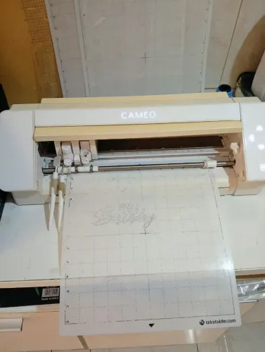 Vendo Silhouette Camelo 4