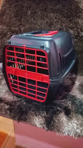 Caixa de transporte pet n1 n2 n3